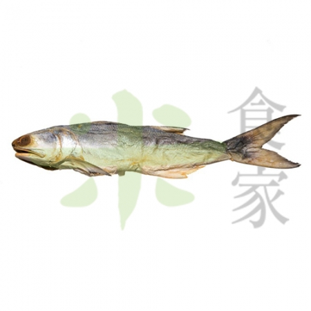 AUU-001(C) 馬友鹹魚,冷凍不可退秤重計價