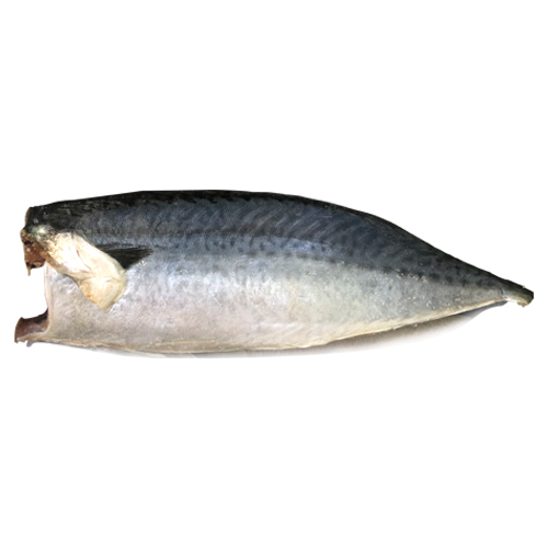 台灣鯖魚片-45/55 (6KG)