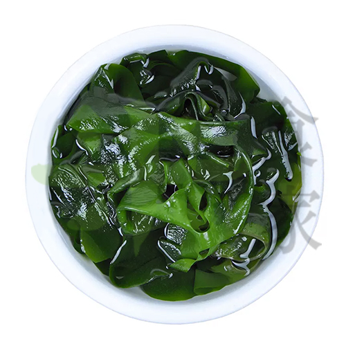 濕海帶苗(25斤裝)